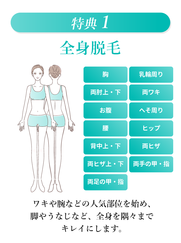 特典1 全身脱毛。胸、乳輪周り、両肘上下、両ワキ、お腹、へそ周り、腰、ヒップ、背中上下、両ヒザ、両ヒザ上下、両手の甲と指、両足の甲と指など全身すみずみまで対象。